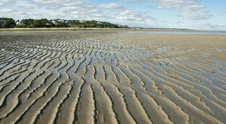 picture of Brewster tidal flats