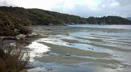 picture from the Britannica of tidal flats