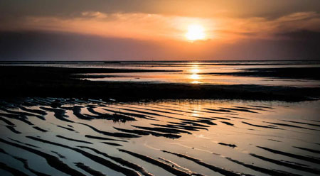 picture of tidal flats from the Captain Freeman Inn